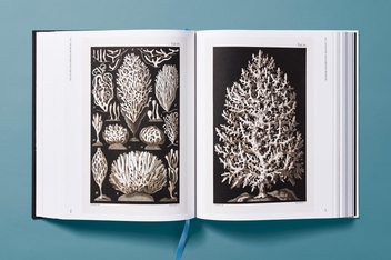 Paper book «The Art and Science of Ernst Haeckel», author Julia Voss - фото №11 - миниатюра