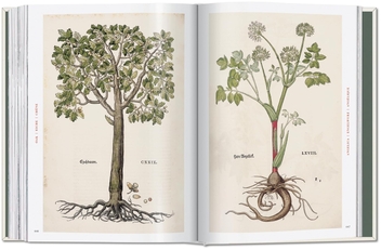 Paper book «Leonhart Fuchs: The New Herbal», author Werner Dressendörfer - фото №9 - миниатюра