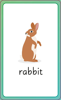 Бумажная книга «English for Everyone Junior: First Words Animals Flash Cards» - фото №7 - миниатюра