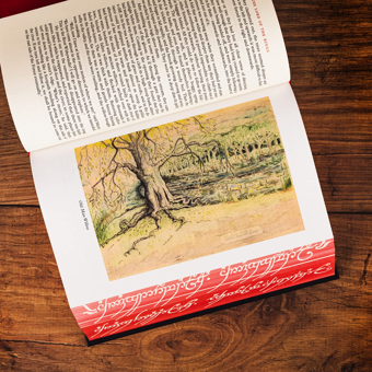 Бумажная книга «The Lord of the Rings», автор Джон Р. Р. Толкин - фото №3 - миниатюра