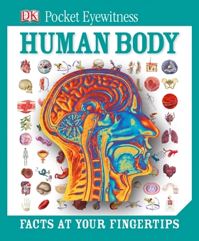 Бумажная книга «Pocket Eyewitness Human Body» - фото №1 - миниатюра