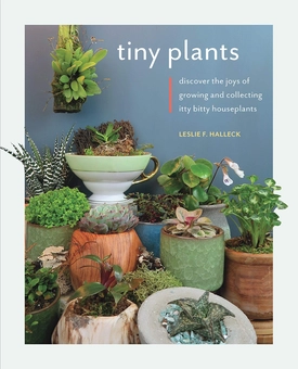 Паперова «Tiny Plants. Discover the joys of growing and collecting itty-bitty houseplants», автора Лесли Ф. Халлек– фото №1