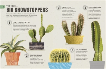 Бумажная книга «Happy Cactus. Choose It, Love It, Let It Thrive» - фото №4 - миниатюра