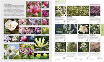 Бумажная книга «RHS Encyclopedia Of Plants and Flowers», автор Кристофер Брикелл - фото №3 - миниатюра