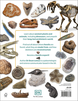 Бумажная книга «My Book of Fossils», автор Дин Ломакс - фото №2 - миниатюра