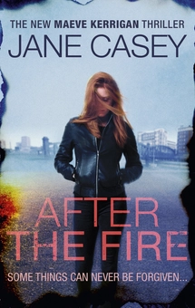 Бумажная книга «After the Fire», автор Джейн Кейси - фото №1 - миниатюра