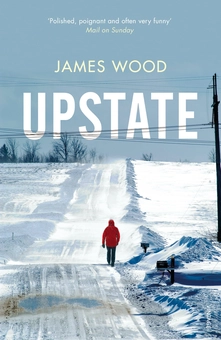 Бумажная книга «Upstate», автор Джеймс Вуд - фото №1 - миниатюра