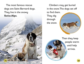 Паперова книга «Amazing Dogs. Tales of Daring Dogs!», автор Лора Буллер - фото №5 - мініатюра