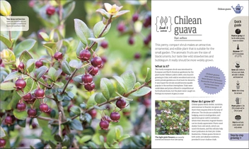 Бумажная книга «Incredible Edibles. Grow Something Different in Your Fruit and Veg Plot», автор Мэтью Биггс - фото №7 - миниатюра