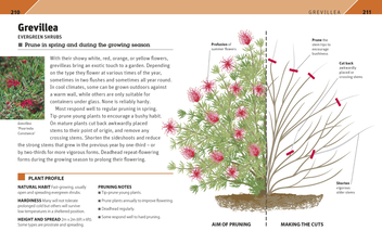 Паперова книга «RHS Pruning Plant by Plant. How to Prune more than 200 Popular Plants» - фото №3 - мініатюра