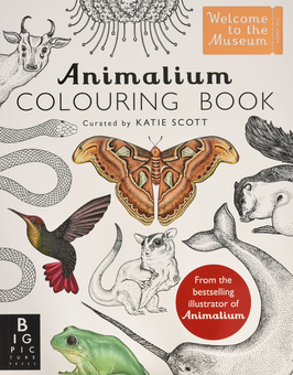 Паперова книга «Animalium Colouring Book», автор Кейт Бейкер - фото №1 - мініатюра