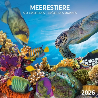 Бумажная книга «Meerestiere/Sea Creatures/Créatures marines 2026» - фото №1 - миниатюра