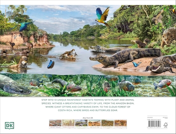 Бумажная книга «Rainforest», автор DK (Dorling Kindersley) - фото №2 - миниатюра
