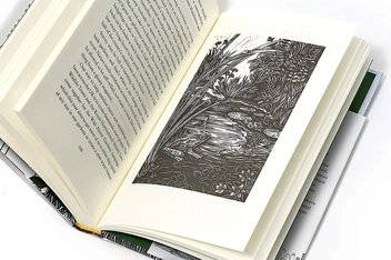Паперова книга «The Stubborn Light of Things », автор Мелісса Харрісон - фото №8 - мініатюра