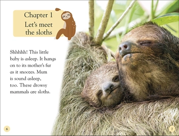 Бумажная книга «Sloths» - фото №4 - миниатюра