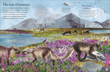Паперова книга «Through the Animal Kingdom. Discover Amazing Animals and Their Remarkable Homes», автор Дерек Гарві - фото №6 - мініатюра