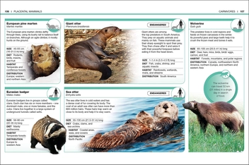 Бумажная книга «Mammals. Facts at Your Fingertips» - фото №4 - миниатюра