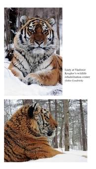 Бумажная книга «The Tiger», автор Джон Вайлант - фото №3 - миниатюра