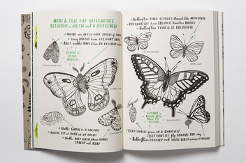 Паперова книга «Hello Nature. Draw, Collect, Make and Grow», автор Ніна Чакрабарті - фото №5 - мініатюра