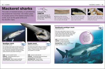 Паперова книга «Sharks. Facts at Your Fingertips» - фото №4 - мініатюра