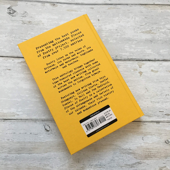 Паперова книга «Places of Poetry. Mapping the Nation in Verse» - фото №3 - мініатюра