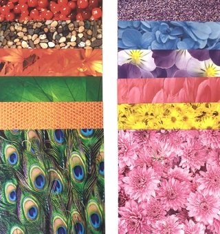 Бумажная книга «Origami Paper. 200 Sheets. Nature Patterns. 15 cm» - фото №3 - миниатюра