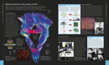 Паперова книга «The Brain Book. An Illustrated Guide to its Structure, Functions, and Disorders », авторів Стів Паркер, Ріта Картер, Сьюзан Олдрідж, Мартін Пейдж - фото №5 - мініатюра