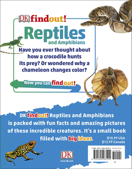 Бумажная книга «Dkfindout! Reptiles and Amphibians» - фото №2 - миниатюра