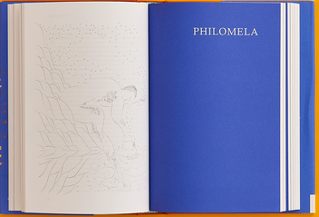 Бумажная книга «Greek Myths. A New Retelling», автор Шарлотта Хиггинс - фото №2 - миниатюра
