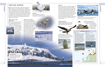Бумажная книга «RSPB Complete Birds of Britain and Europe», автор Роб Хьюм - фото №2 - миниатюра
