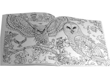 Паперова книга «Animorphia. An Extreme Colouring and Search Challenge», автор Кербі Розанес - фото №3 - мініатюра