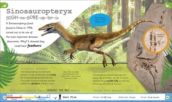 Бумажная книга «My Encyclopedia of Very Important Dinosaurs» - фото №6 - миниатюра