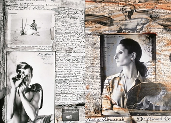 Бумажная книга «Peter Beard », автор Оуэн Эдвардс - фото №8 - миниатюра
