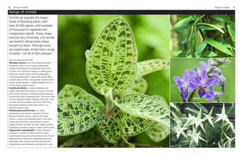 Паперова книга «Orchids» - фото №2 - мініатюра