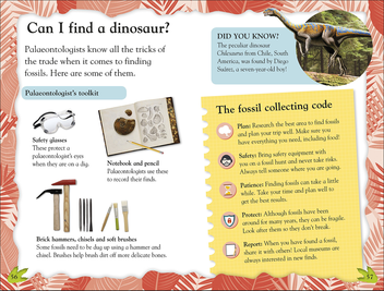 Паперова книга «Dinosaurs Discovered» - фото №4 - мініатюра
