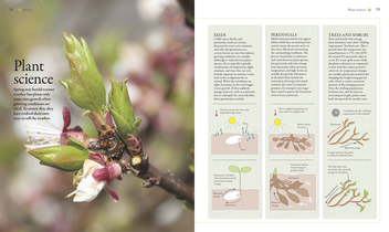 Бумажная книга «The Gardener's Year. Create, Care For, and Enjoy Your Garden Season by Season» - фото №2 - миниатюра