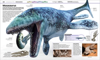 Бумажная книга «Knowledge Encyclopedia Dinosaur! Over 60 Prehistoric Creatures as You've Never Seen Them Before» - фото №4 - миниатюра