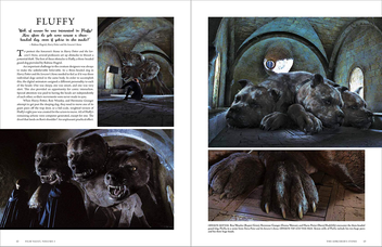 Бумажная книга «Harry Potter. The Film Vault. Volume 3. Horcruxes & The Deathly Hallows» - фото №4 - миниатюра