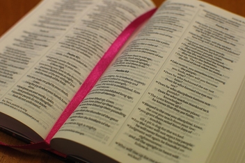 Бумажная книга « The Holy Bible New. Floral» - фото №7 - миниатюра