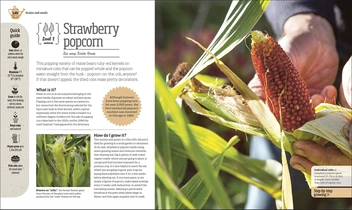 Бумажная книга «Incredible Edibles. Grow Something Different in Your Fruit and Veg Plot», автор Мэтью Биггс - фото №6 - миниатюра
