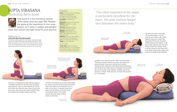 Бумажная книга «BKS Iyengar Yoga The Path to Holistic Health», автор Б. К. С. Айенгар - фото №6 - миниатюра