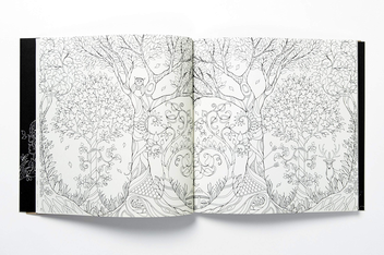 Бумажная книга «Enchanted Forest. An Inky Quest and Colouring Book», автор Джоанна Басфорд - фото №10 - миниатюра