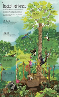 Бумажная книга «RHS The Magic and Mystery of Trees», автор Джен Грин - фото №4 - миниатюра
