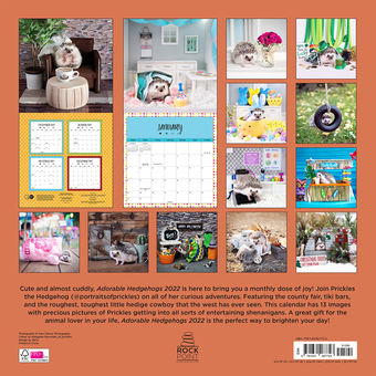 Паперова книга «Adorable Hedgehogs 2022» - фото №2 - мініатюра