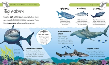 Бумажная книга «Sharks and Other Sea Creatures. Full of Fun Facts and Activities» - фото №5 - миниатюра