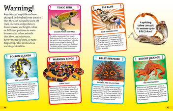 Бумажная книга «Dkfindout! Reptiles and Amphibians» - фото №5 - миниатюра