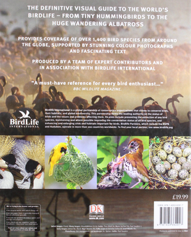 Бумажная книга «Illustrated Encyclopedia of Birds», автор Бен Хоар - фото №2 - миниатюра