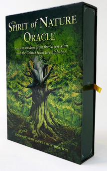Паперова книга «The Spirit of Nature Oracle. Ancient Wisdom from the Green Man and the Celtic Ogam Tree Alphabet», авторів Джон Метьюз, Вілл Вортінгтон - фото №2 - мініатюра