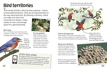 Бумажная книга «Birds. Explore Nature with Fun Facts and Activities» - фото №5 - миниатюра