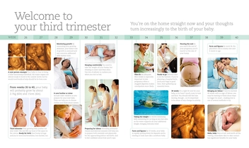 Бумажная книга «The Day-by-Day Pregnancy Book», автор Мэгги Блотт - фото №3 - миниатюра